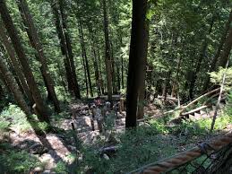 A link to the past 2. Grouse Mountain Kanada Seyahat Gunlukleri Ve Bloglar