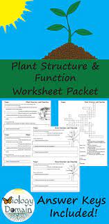 Worksheets Include Basic Plant Structures Root Structures Leaf Structures Stem Structures And Flower Plant Structure Structure And Function Leaf Structure