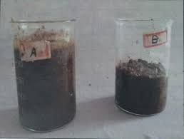 Biodegradation of Lignocellulosic Material