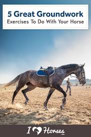 5 Great Groundwork Exercises To Do With Your Horse Horses Horse Exercises Horse Training Exercises