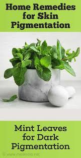 Home Remedies For Skin Pigmentation
