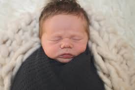 Tracy Lynn Photography