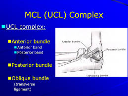 Ucl reconstruction (tommy john surgery) tommy john surgery uses a tendon taken from somewhere else in the body, or from a donor, to serve as the new ucl. Tommy John Injury Dr Tyler Marshall M D Shoulder And Sports Medicine Birmingham Al