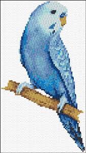 Bird Cross Stitch Patterns Free To Download Blue Parakeet 9 987 Cross Stitch Cross Stitch Bird Cross Stitch Animals