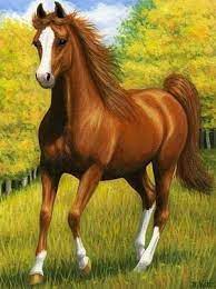 Pin De Ines Oyarzo En Caballos Cuadros De Caballos Paisajes De Caballos Pinturas De Caballos