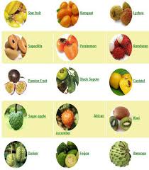 This name generator will give you 10 random names for fruits and vegetables. Pin En Recetas Para Cocinar