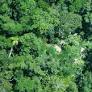 Extractivismo invade corredor de pueblos aislados