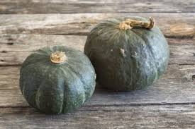 Check spelling or type a new query. Tips Information About Squash Gardening Know How