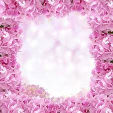 Cornice Di Fiori Di Ortensia Immagine Gratis Public Domain Pictures