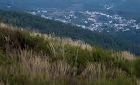 Consulta en tripadvisor 96 opiniones de 3 hemos encontrado interesantes resultados, pero algunos están fuera de castanheira de pera. Jornal De Leiria Castanheira De Pera E O Segundo Municipio Com Menos Nascimentos Registados