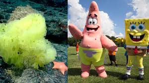 1,471 likes · 230 talking about this. Iaj Wmqp7mfbjm