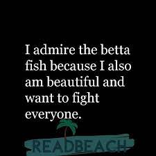 See more ideas about quotes, fishing quotes, fish. 8 Betta Fish Quotes With Images Readbeach Quotes