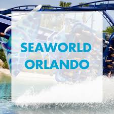Seaworld S Orlando Florida Theme Park Offers Roller Coasters Rides Shows Tours Attractions Family Friendly Seaworld Orlando Sea World Florida Theme Parks