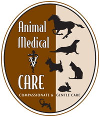 Other places within 1500 meters of animal medical care of newport are listed below. Animal Medical Care Of Newport Oregon Veterinarian For Family Pets Farm Exotic Avian And Marine Mammals