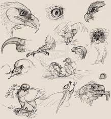 Eagle Studies By Babbletrish Deviantart Com On Deviantart Ballpoint Pen On Recycled Sketchbook Paper Some Photo Eagle Drawing Animal Drawings Bird Drawings