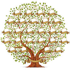 Für alle, die nach einer leeren stammbaum vorlage zum ausdrucken bzw. Stammbaum Erstellen Online Ahnenforschung De