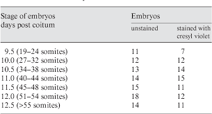 In vertebrates, somites subdivide into the sclerotomes, myotomes, syndetomes and dermatomes that give rise to the vertebrae of the vertebral column, rib cage and part of the occipital bone; Somite As A Morphological Reference For Staging And Axial Levels Of Developing Structures In Mouse Embryos Semantic Scholar