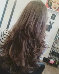 El corte de pelo en v. Cortes De Cabello Largo 2021 2022 Para Mujer Cafe Versatil