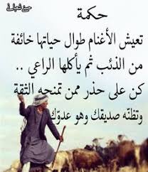 قد يكون الناس مخلوقين للسير على طريق العمل ولكنهم قد لا يكونوا مخلوقين لفهم هذا العمل Wisdom Quotes Life Wisdom Quotes Words Quotes