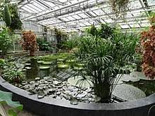 Die stadt gießen war im 16. Botanischer Garten Giessen Wikipedia