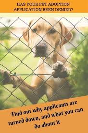 Pet food companies may provide discounted or free bags of food. Pin On Adopt A Dog Or Cat