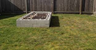 We did not find results for: How To Build A Cinder Block Raised Garden Bed Sunshine And Rainy Days