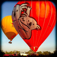 Hot Air Ballooning Cairns With Its Famous 450 Series Iconic Koala Balloon Ready To Launch And T Hot Air Balloon Festival Hot Air Balloon Rides Hot Air Balloon