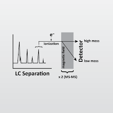As an employer in mississippi, you are required to do certain things as it related to the unemployment insurance tax program: Lc Ms Ms æ¶²ç›¸è‰²è­œ Eagå¯¦é©—å®¤