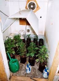 Indoor Grow Systems How To Setup A Grow Room Low High Budget Options Potprof