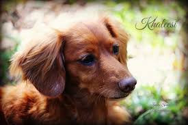 Jenny Spivey Photography (@photosbyjennyspivey) • Facebook