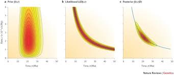 Dating adalah kencan menurut kamus besar bahasa indonesia adalah berjanji untuk saling bertemu disuatu tempat dengan waktu yang telah ditetapkan bersama. Bayesian Molecular Clock Dating Of Species Divergences In The Genomics Era Nature Reviews Genetics
