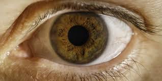 Augen sind rot (english translation). Bindehautzyste Ursachen Symptome Und Behandlung Heilpraxis