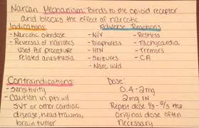 Start studying pharmacology drug cards. The Time Machine Quotes With Page Numbers Quizlet 7 Amazing Live Edtech Tools To Gamify Your Classroom Bookwidgets Dogtrainingobedienceschool Com