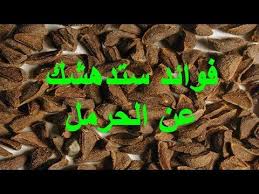 Youtube Youtube