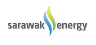 View domain name system records, including but not limited to the a, cname, mx, and txt records. Https Www Sarawakenergy Com Assets Pdf Apl 13 7 2020 Pdf