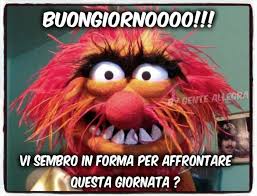 In Forma The Muppet Show Muppets Animals