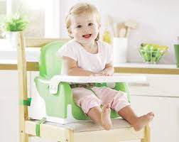 Booster Seat Ideas Freezing Baby Food Baby Food Recipes Best Booster Seats