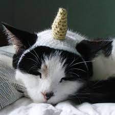15 Crochet Patterns For Animals Crochet Cat Hat Unicorn Stuffed Animal Cat Hat Pattern