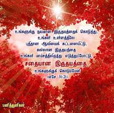 Tamil Bible Verse Heart Leaf Red Scripture Pictures Happy Valentines Day Bible Words