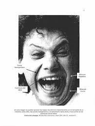 Neevia docConverter 5.1