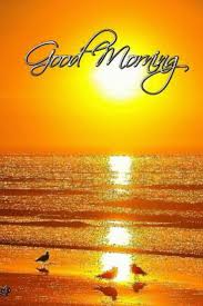 100 Beautiful Good Morning Images With Nature And Sunrise Find the perfect morning sunrise stock photos and editorial news pictures from getty images. 100 beautiful good morning images with