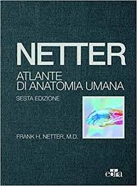 Download Libro Netter Atlante Di Anatomia Umana Pdf Gratis Italiano Anatomia Anatomia Umana Linguaggio Del Corpo