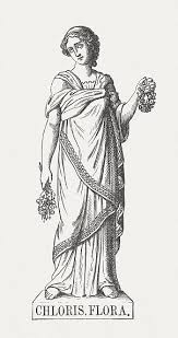 Image result for Chloris