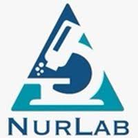 Nurlab Logo