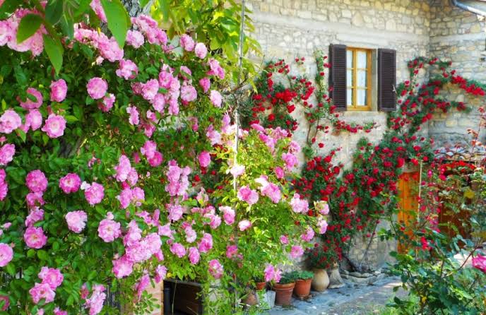 Resultado de imagem para toscana italia primavera
