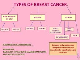 This article will look into the different types of breast cancer, including their symptoms, outlooks, and treatment options. Pin On Cancer