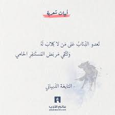 من اجمل ابيات الشعر الفصيح لـ النابغة الذبياني عالم الأدب simple love quotes spirit quotes love quotes photos