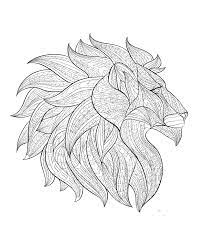 Africa Coloring Pages For Adults Leon Para Colorear Libro De Colores Dibujos