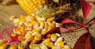 فالواقع في الطبيعة أن الإلكترون في ذرة الهيدروجين (وكذلك في الذرات الأخرى) يدور في مدارات حول لنواة ولا يقع عليها. ØªÙØ³ÙŠØ± Ø±Ø¤ÙŠØ© Ø§Ù„Ø°Ø±Ø© ÙÙŠ Ø§Ù„Ù…Ù†Ø§Ù… 2019