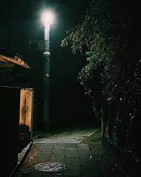 いつもと違う道を通って帰ってみた わかっちゃいたけど再確認 ここ田舎だw 鎌倉 鎌倉ナイト 夜スタグラム 帰り道 帰り道は遠回りしたくなる 帰り道写真部 鎌倉散歩 鎌倉夜景 田舎夜景 暗い写真 景色写真 鎌倉風景 風景写真 暗い写真 風景